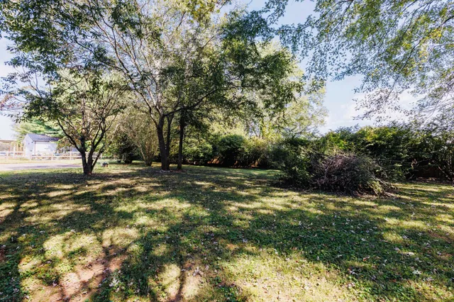 a view of backyard with green space