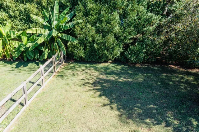 a view of yard along with trees