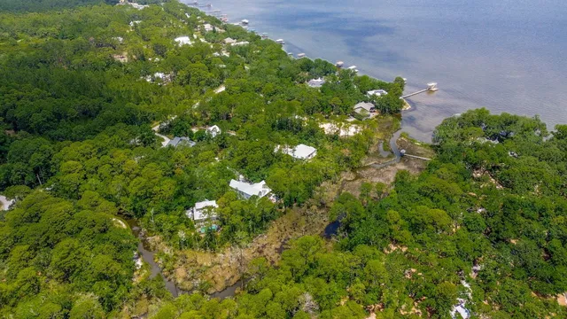 a close up of a flower in a garden
