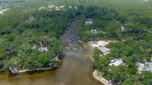 a picture of flowers