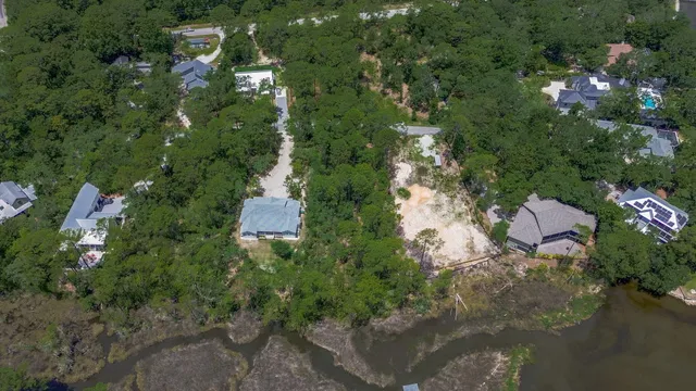 a view of a yard in a forest