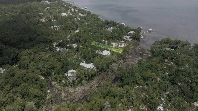 a view of a lush green space