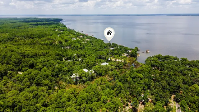 a view of a trees with a tree
