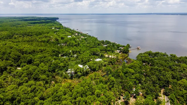 a view of a bunch of flowers