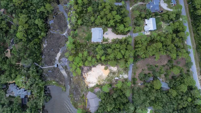 a view of a bunch of trees and bushes