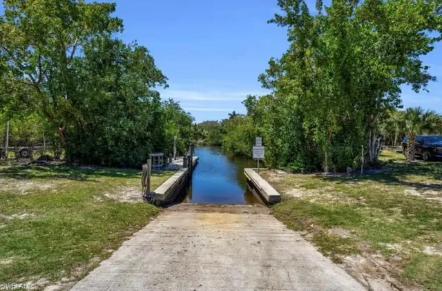 a view of a park with large trees