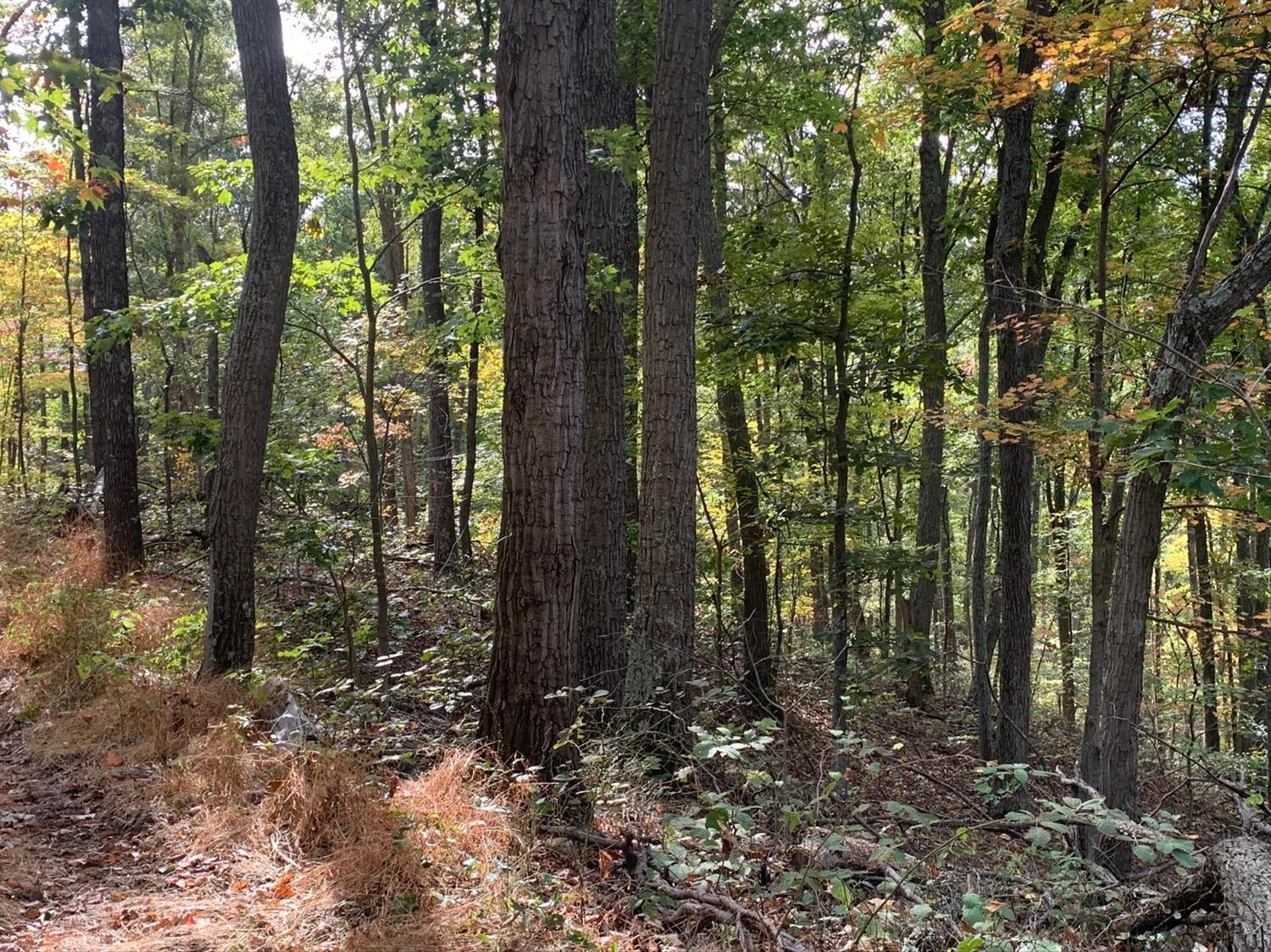 A Phipps Road Lucasville, OH 45648 - Photo 25 of 36 Gallery Image 25