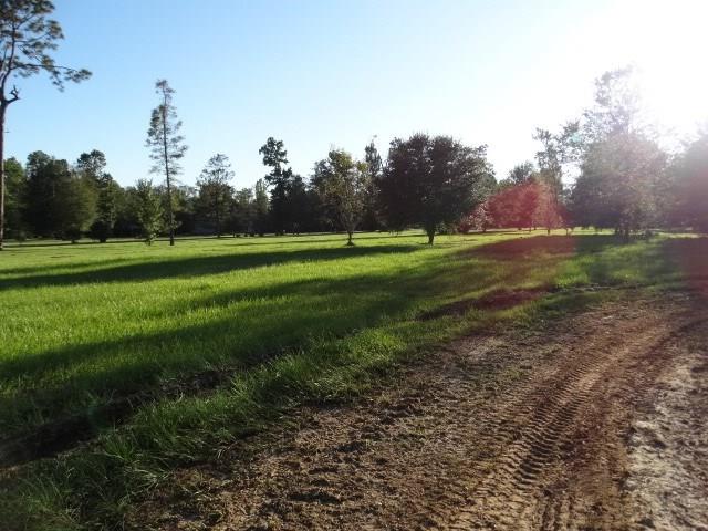 24220 Chat Blanc Road Bush, LA 70431 - Photo 5 of 6 Gallery Image 5
