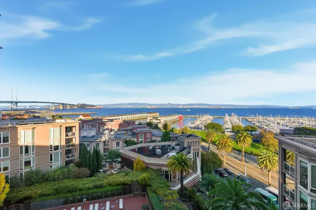 a view of a palm tree in front of a building