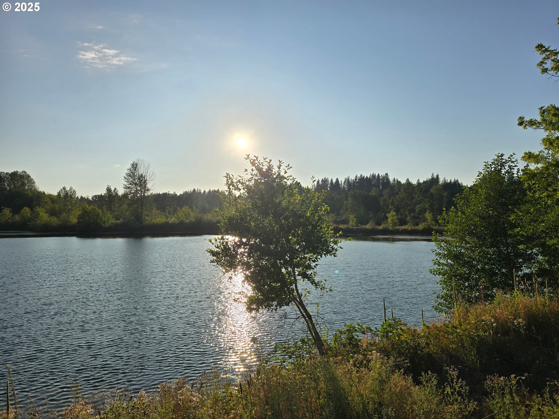 243-12 Collins Road Toledo, WA 98591 - Photo 8 of 10 a view of lake with green space