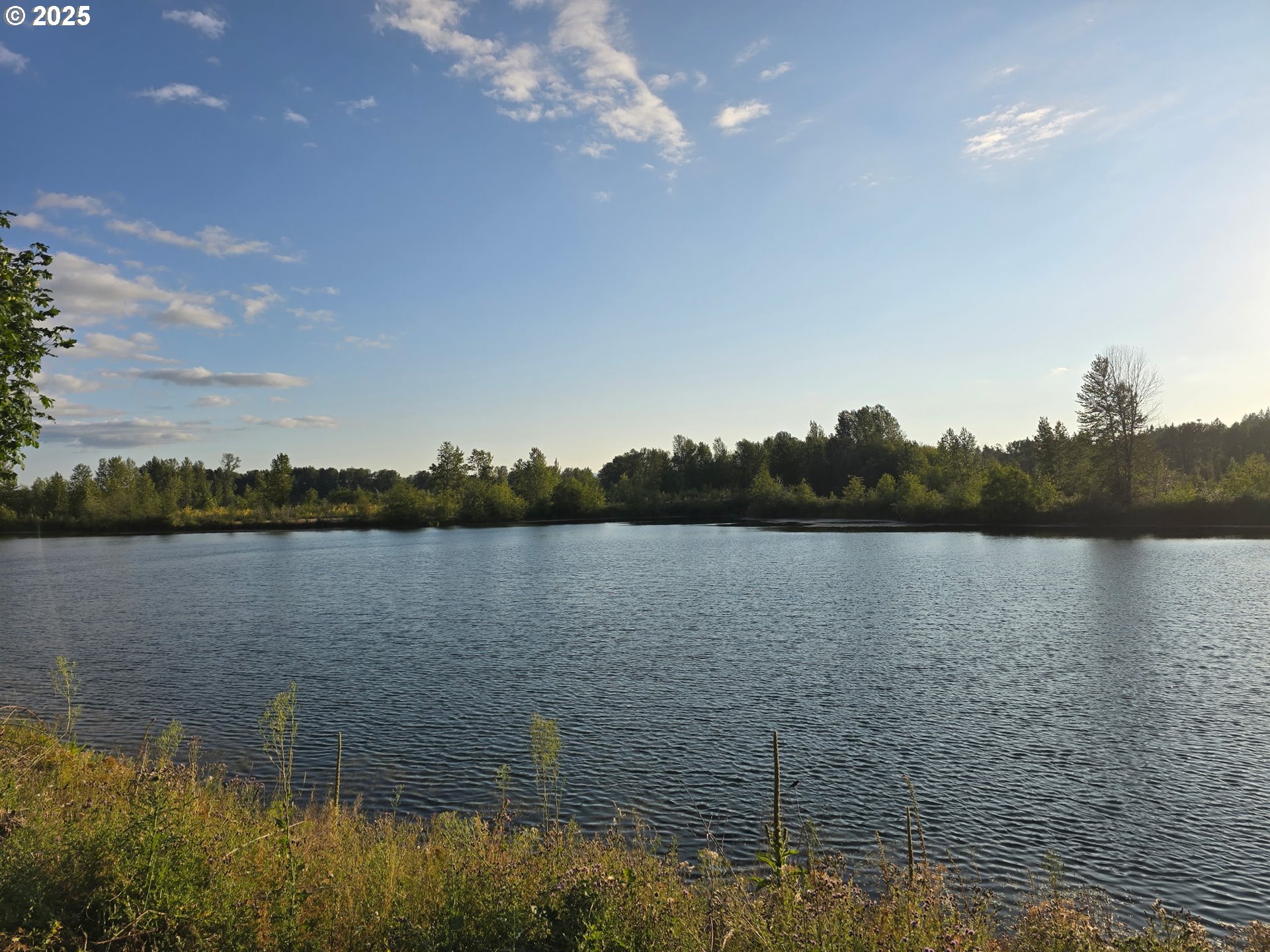 243-12 Collins Road Toledo, WA 98591 - Photo 9 of 10 a view of lake