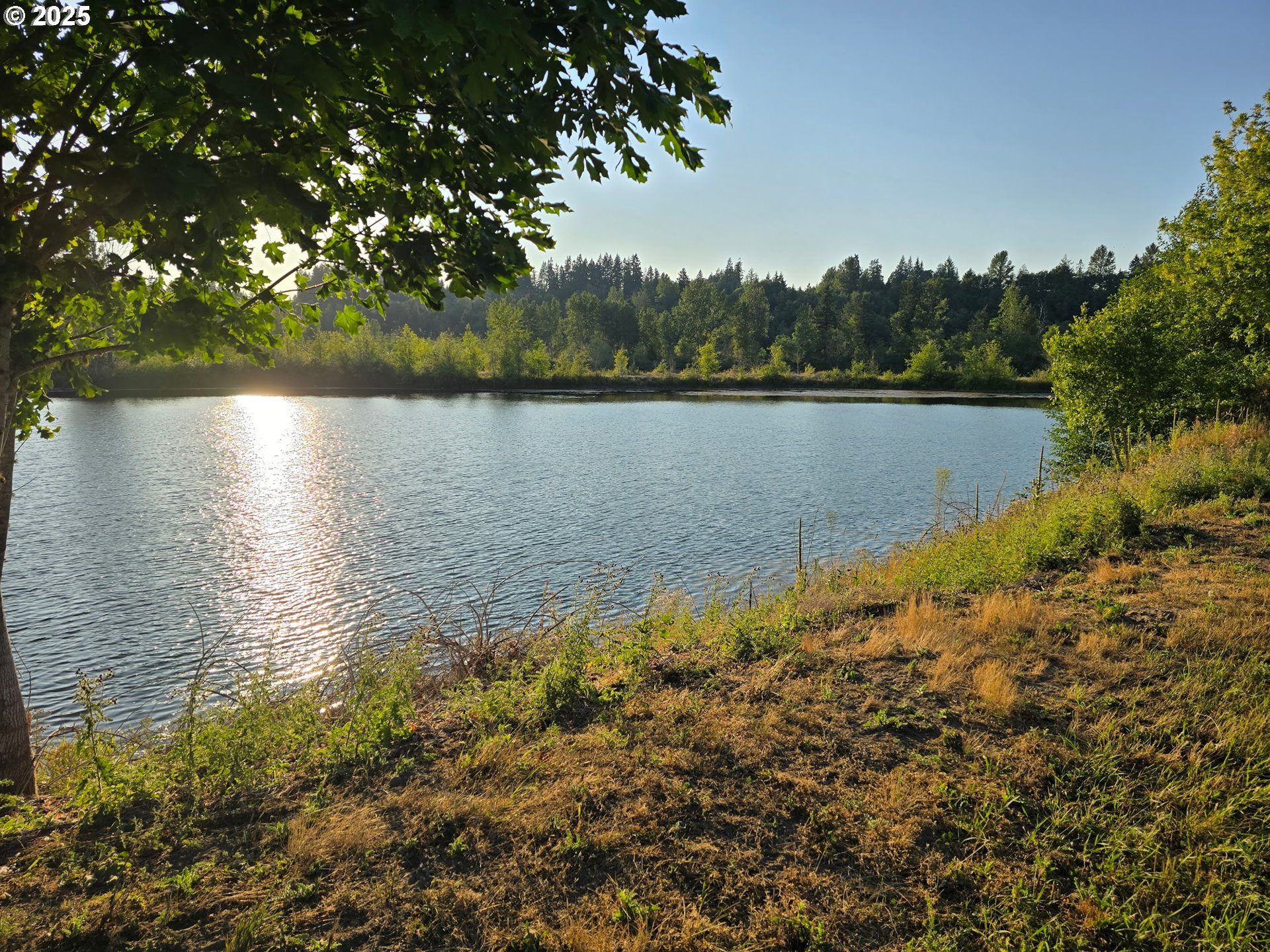 243-12 Collins Road Toledo, WA 98591 - Photo 10 of 10 a view of lake with green space