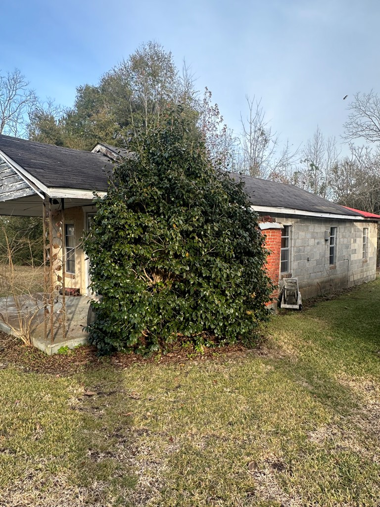 23 Moss Lane Clio, AL 36017 - Photo 2 of 21