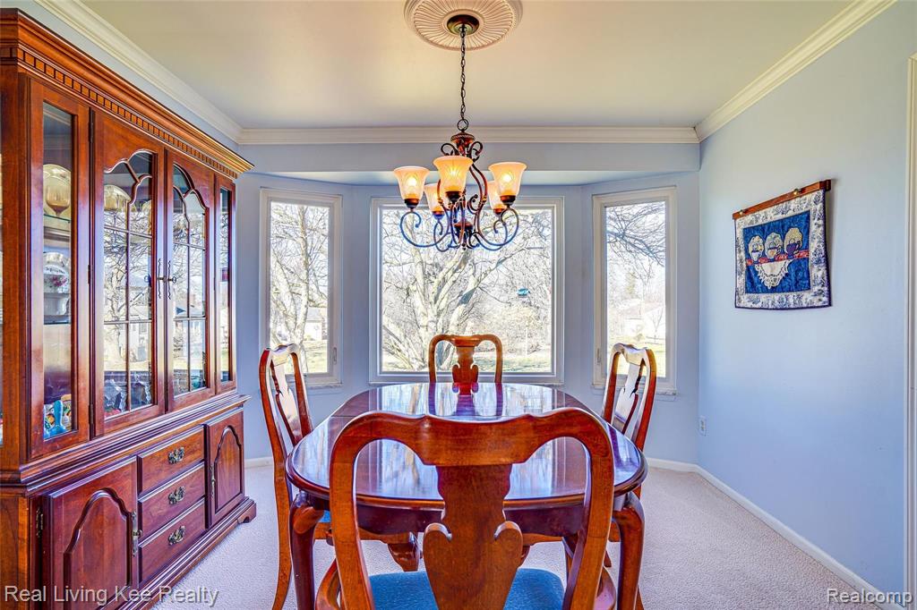 820 Downhill Lane Rochester Hills, MI 48307 - Photo 10 of 43
