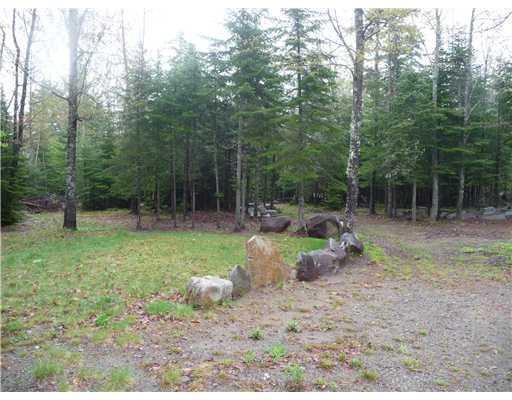 263 Berry Hill Road New Portland, ME 04961 - Photo 11 of 13 Yard/Garden.
