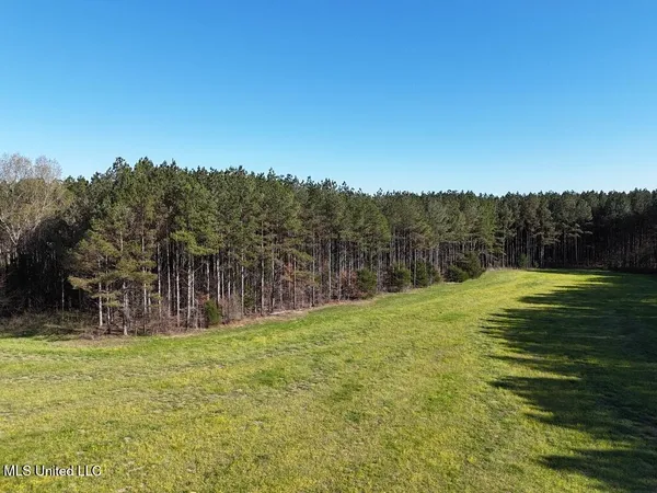 $165,000 | 15 Stump Bridge Road, Canton, MS 39046