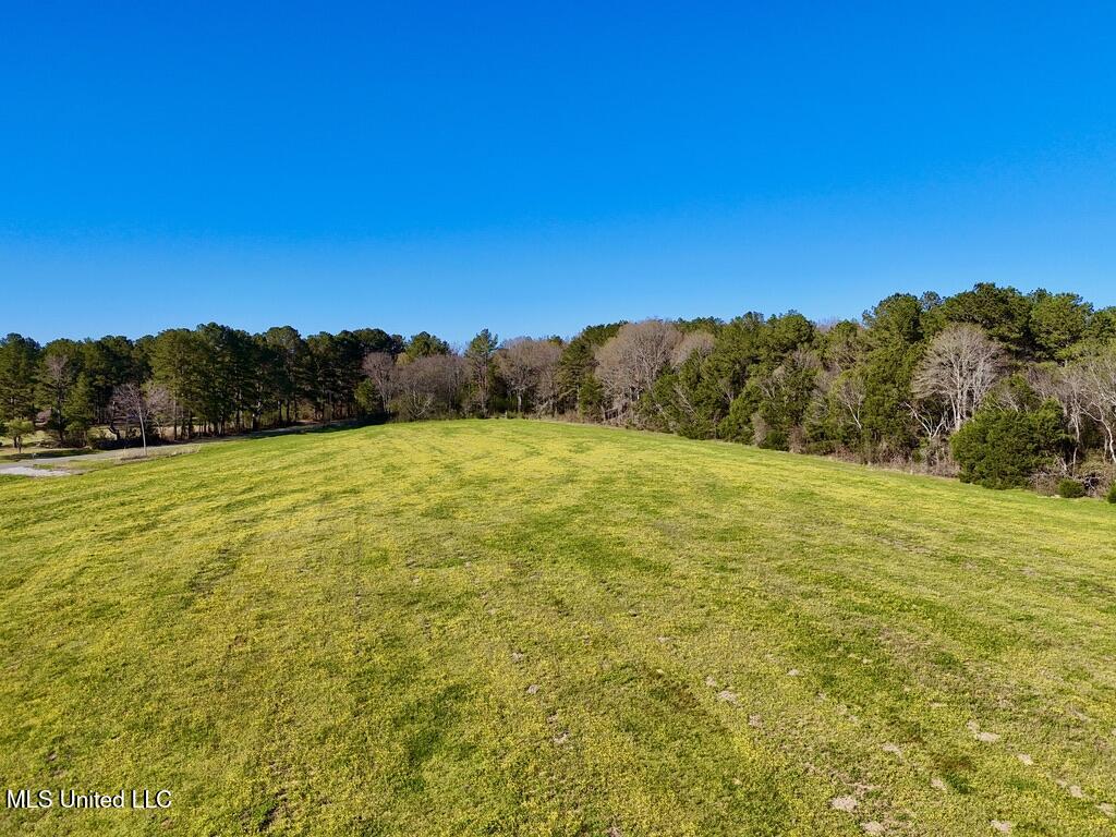 15 Stump Bridge Road Canton, MS 39046 - Photo 14 of 26 59670DBD-BE51-4A42-9C48-C80C9600B903_1_1