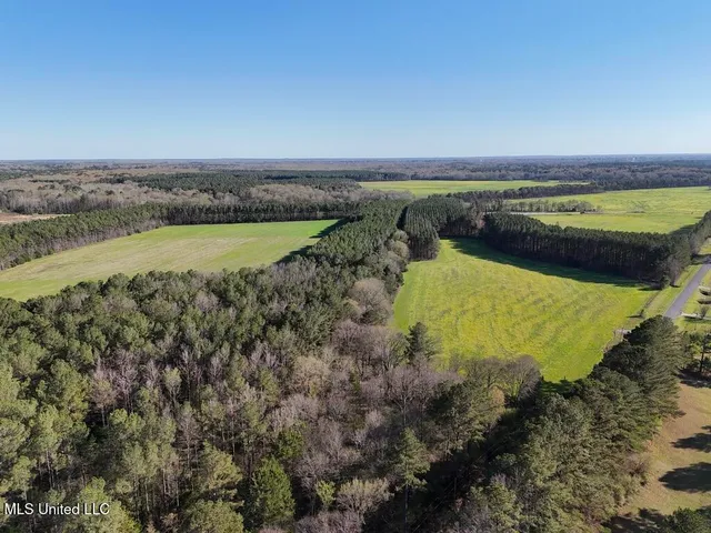 $165,000 | 15 Stump Bridge Road, Canton, MS 39046