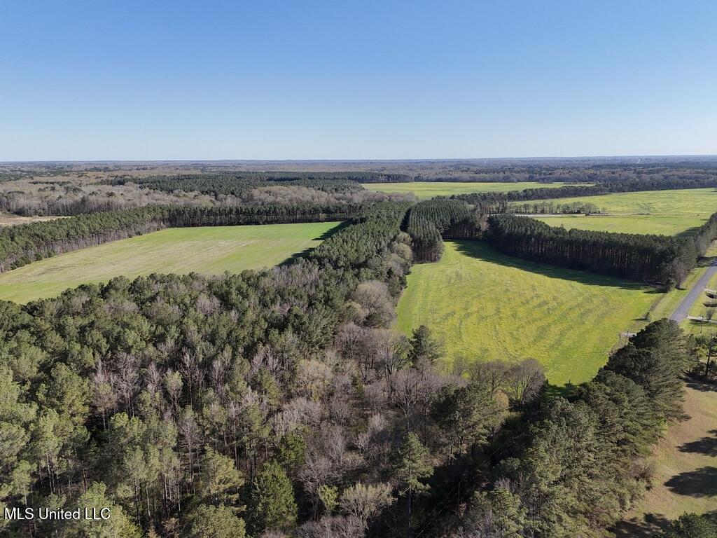 15 Stump Bridge Road Canton, MS 39046 - Photo 15 of 26 05D5BEAA-6666-4C4C-95CE-50BA1F733C03_1_1