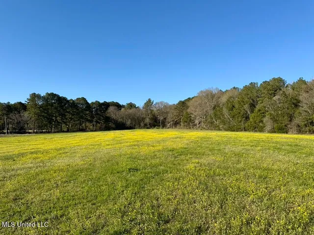 $165,000 | 15 Stump Bridge Road, Canton, MS 39046