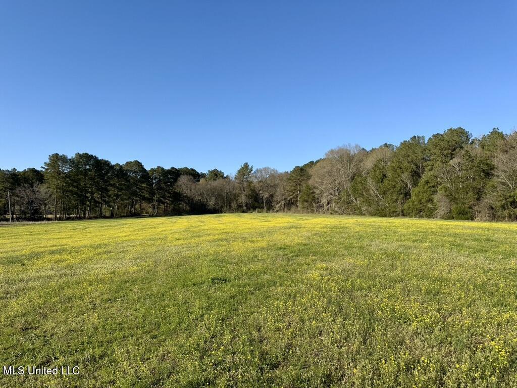 15 Stump Bridge Road Canton, MS 39046 - Photo 16 of 26 E143BE17-779B-4E62-9D4B-F60EB9E9F8EF_1_1