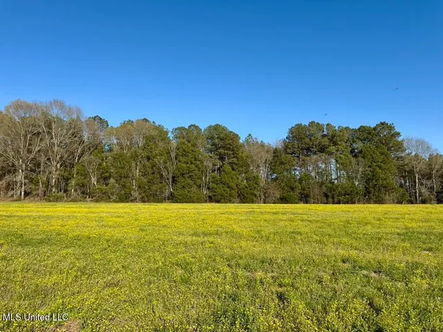 $165,000 | 15 Stump Bridge Road, Canton, MS 39046