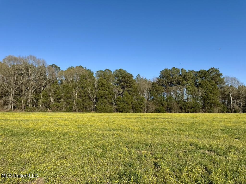 15 Stump Bridge Road Canton, MS 39046 - Photo 18 of 26 6BD09E23-3265-4B61-894D-98B7378AE2B1_1_1