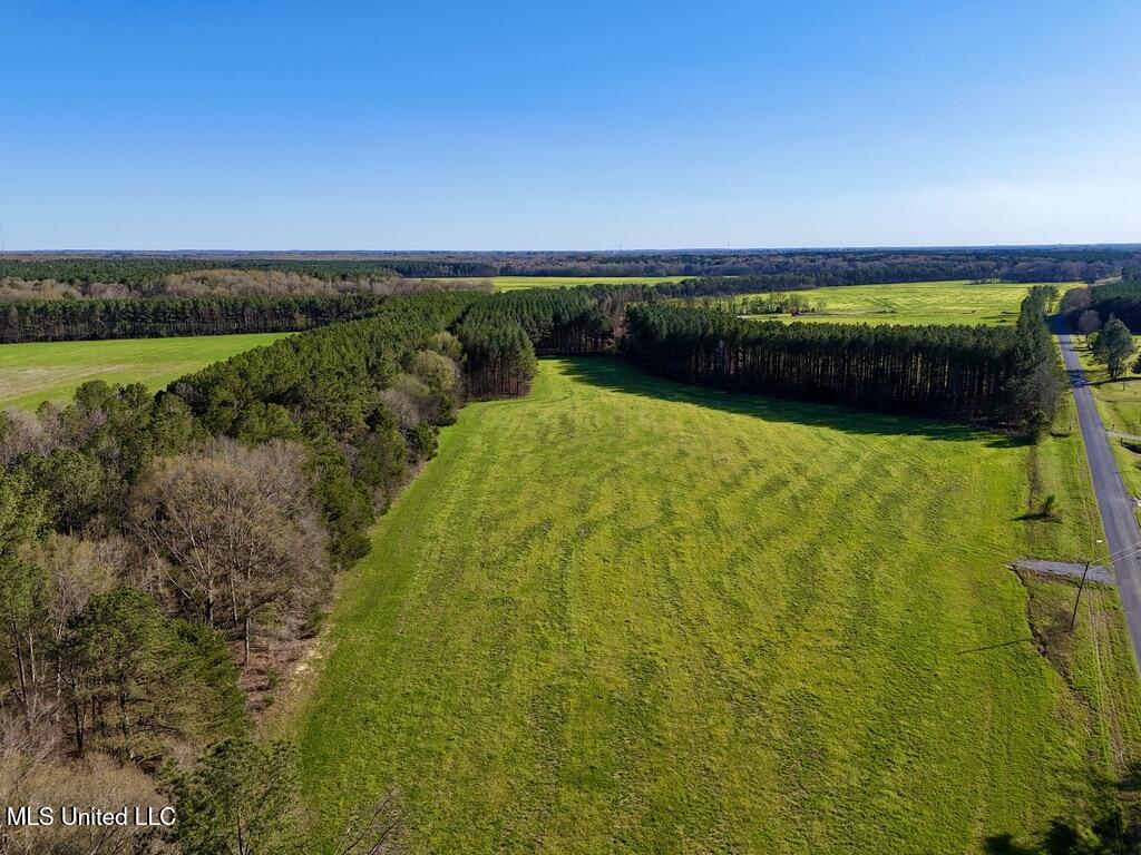 15 Stump Bridge Road Canton, MS 39046 - Photo 19 of 26 4589674E-974C-4704-9A7A-B8AEA25604A7_1_1