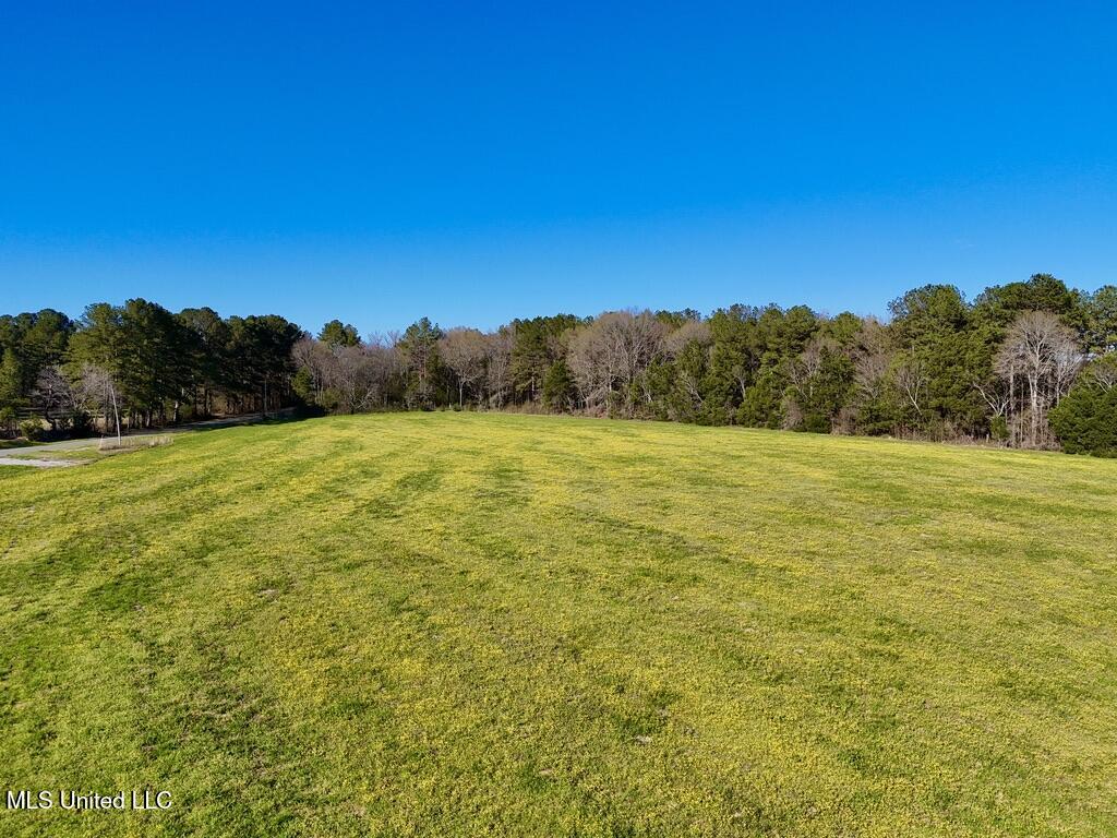 15 Stump Bridge Road Canton, MS 39046 - Photo 20 of 26 384CEEE5-0F8E-4BFD-9DDD-C1F16705E66E_1_1