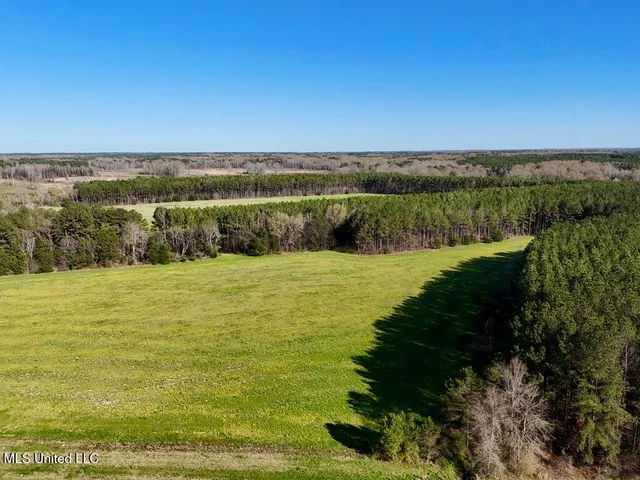 $165,000 | 15 Stump Bridge Road, Canton, MS 39046