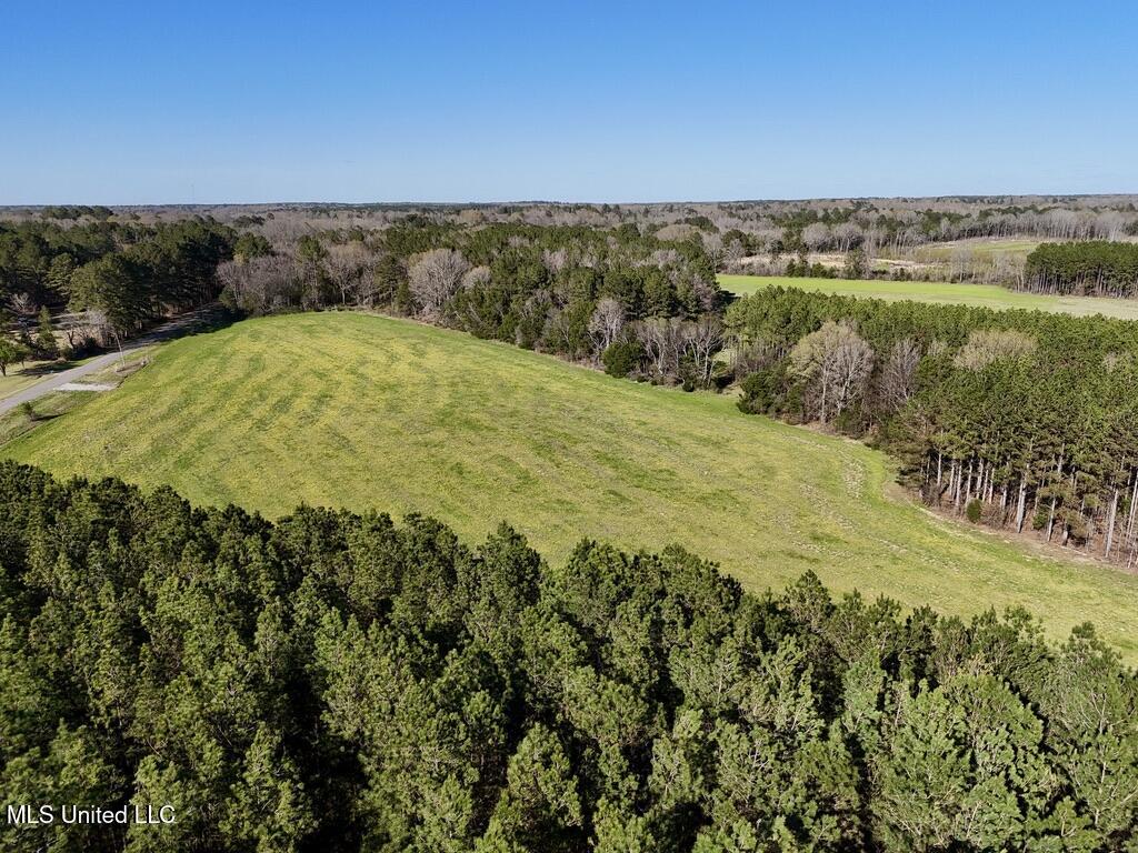 15 Stump Bridge Road Canton, MS 39046 - Photo 22 of 26 EFC18EF4-69AA-4EDB-886B-37AFAA491F84_1_1