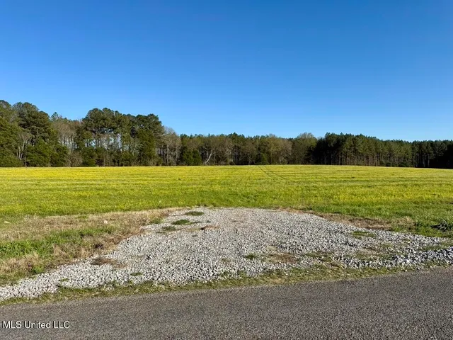 $165,000 | 15 Stump Bridge Road, Canton, MS 39046