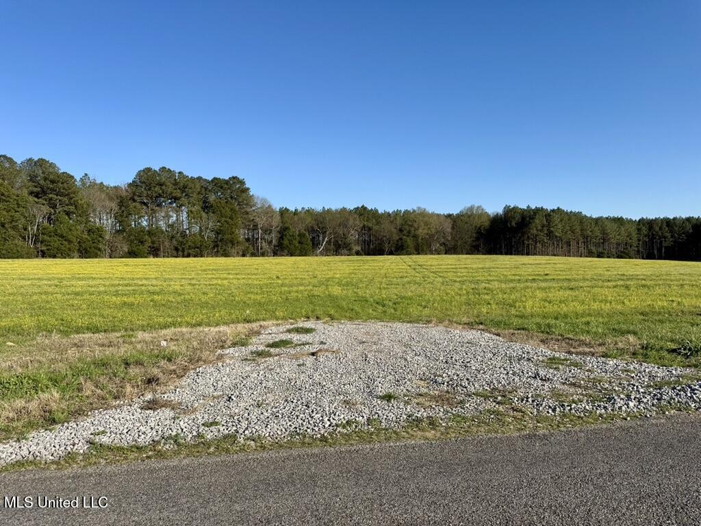 15 Stump Bridge Road Canton, MS 39046 - Photo 24 of 26 0E0D03AE-0DF1-4FAE-A831-08836763BED0_1_1