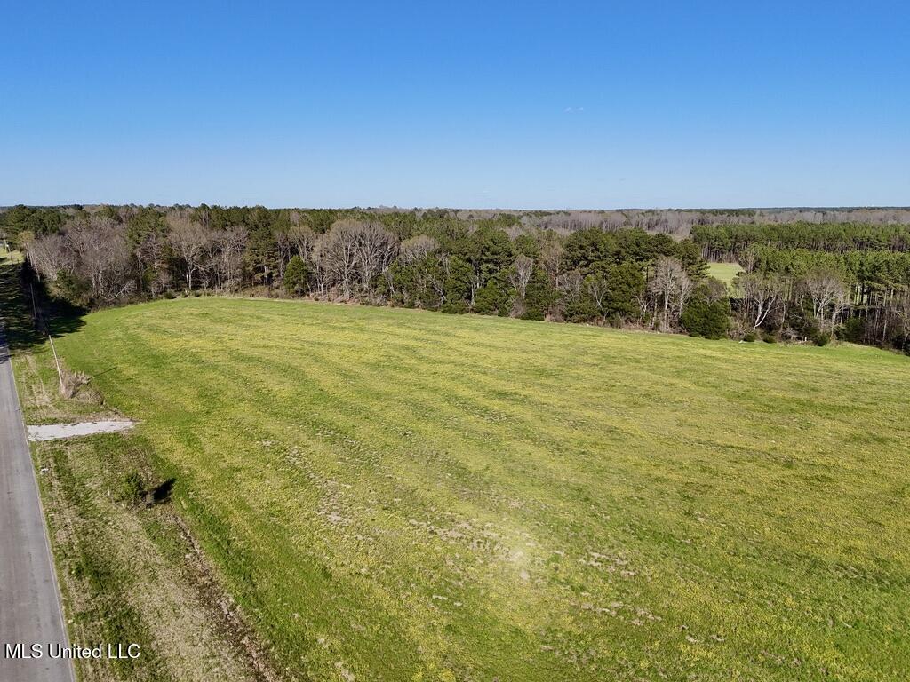 15 Stump Bridge Road Canton, MS 39046 - Photo 26 of 26 10A8BB9F-D9DE-49F0-87AB-F729D7310B35_1_1