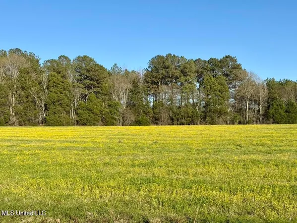 $165,000 | 15 Stump Bridge Road, Canton, MS 39046