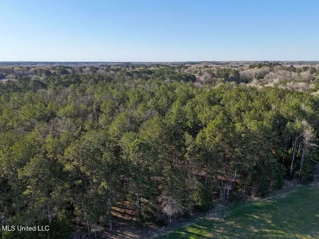 $165,000 | 15 Stump Bridge Road, Canton, MS 39046