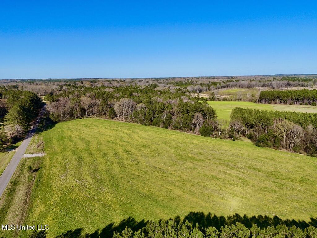 15 Stump Bridge Road Canton, MS 39046 - Photo 5 of 26 DFC35C63-A506-4D32-96B1-A1B282C7C93B_1_1