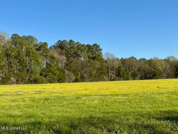$165,000 | 15 Stump Bridge Road, Canton, MS 39046