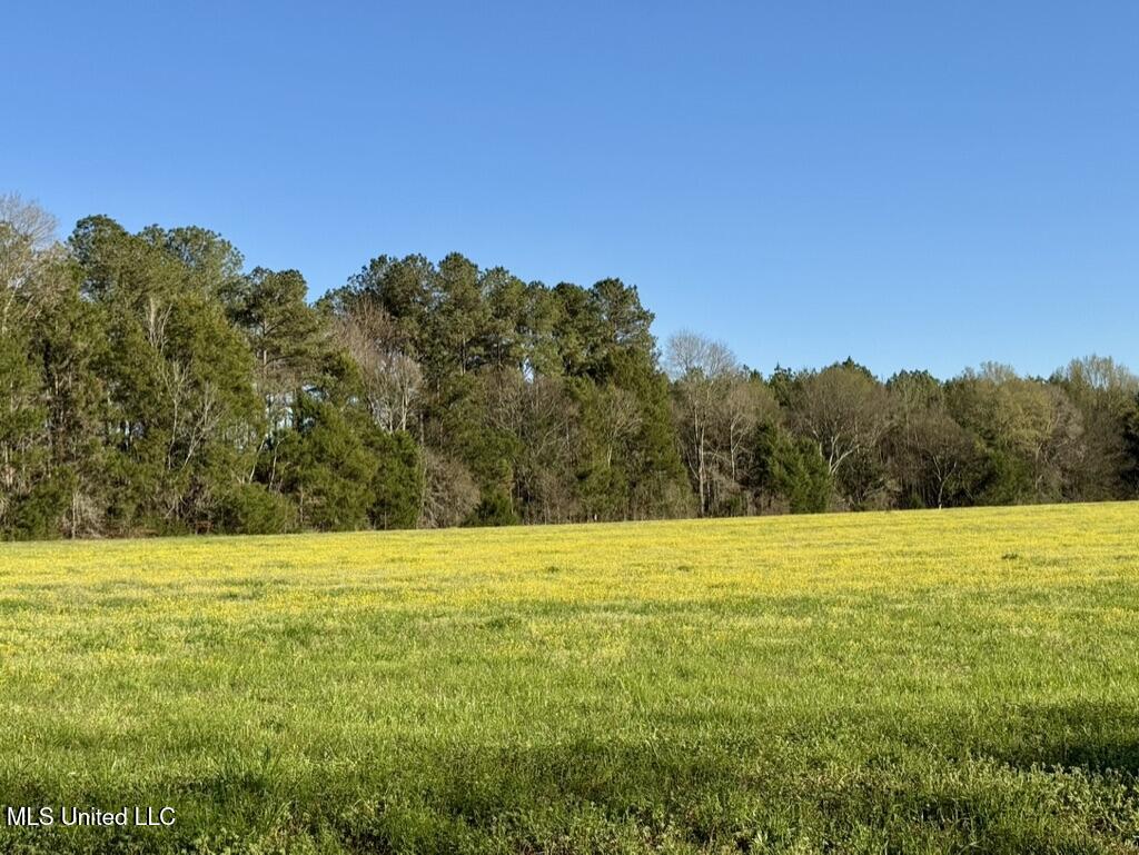 15 Stump Bridge Road Canton, MS 39046 - Photo 6 of 26 03CFDC76-86DD-43D8-85E2-2E8EB89F9794_1_1