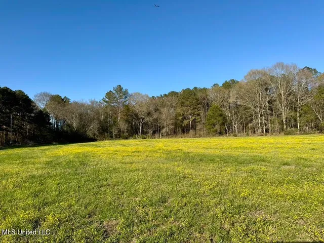 $165,000 | 15 Stump Bridge Road, Canton, MS 39046