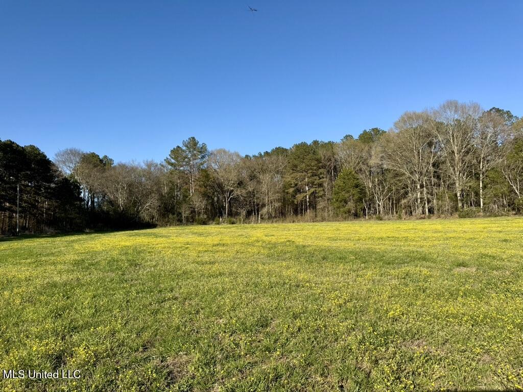 15 Stump Bridge Road Canton, MS 39046 - Photo 7 of 26 EFFCEE62-4C4F-4AF8-8D3B-D3A7A0E4E4A8_1_1