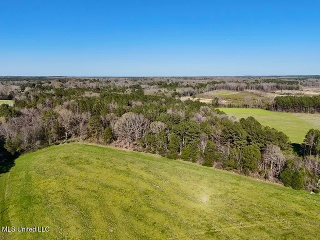 $165,000 | 15 Stump Bridge Road, Canton, MS 39046