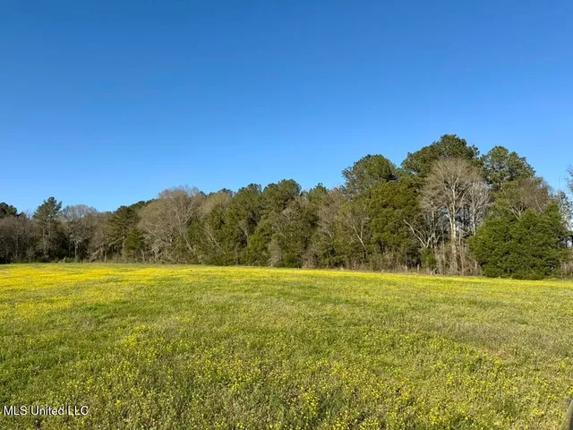 $165,000 | 15 Stump Bridge Road, Canton, MS 39046