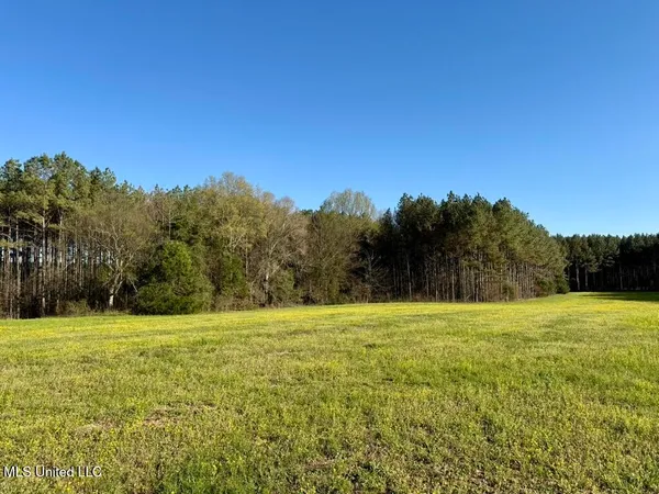 $165,000 | 15 Stump Bridge Road, Canton, MS 39046