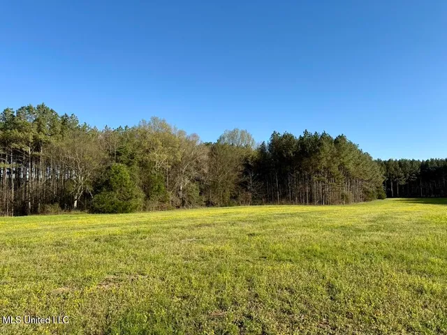 $165,000 | 15 Stump Bridge Road, Canton, MS 39046