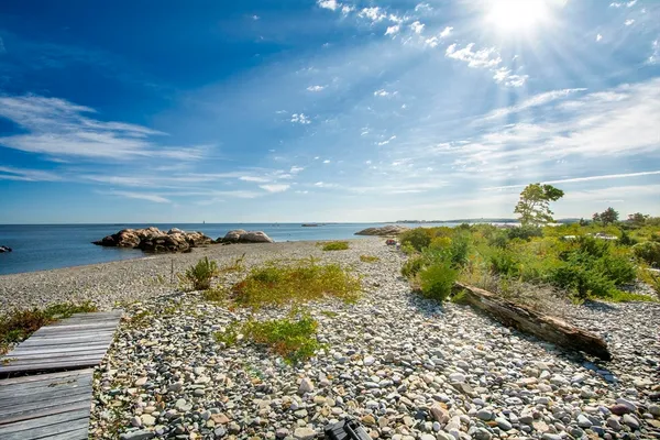 a view of yard with ocean view