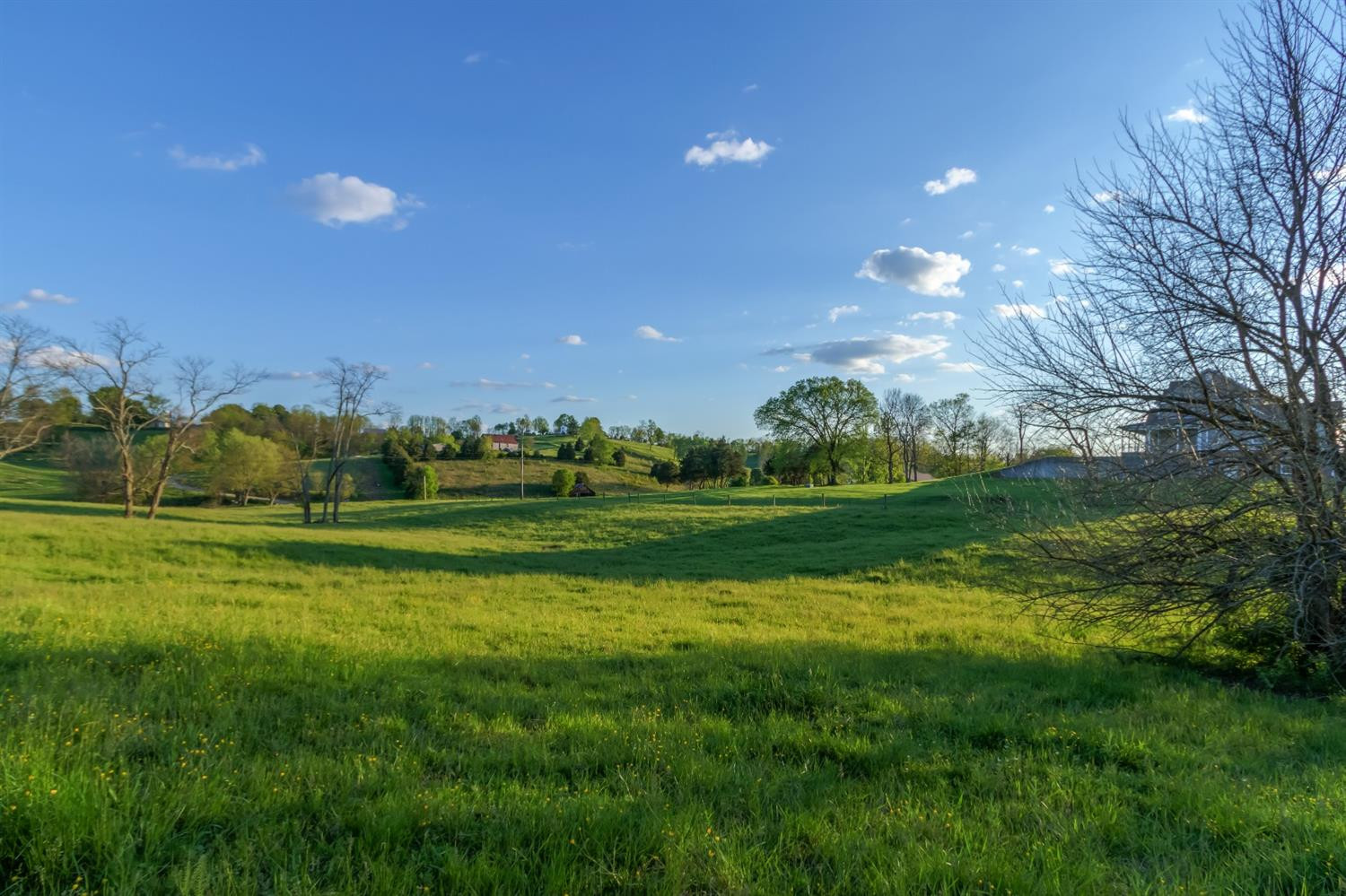 4572 Ecton Road Winchester, KY 40391 - Photo 63 of 69 Photo 63