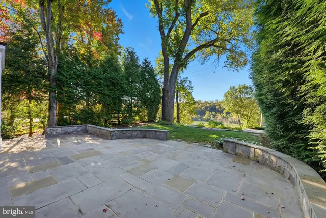 a view of a yard with potted plants and large trees
