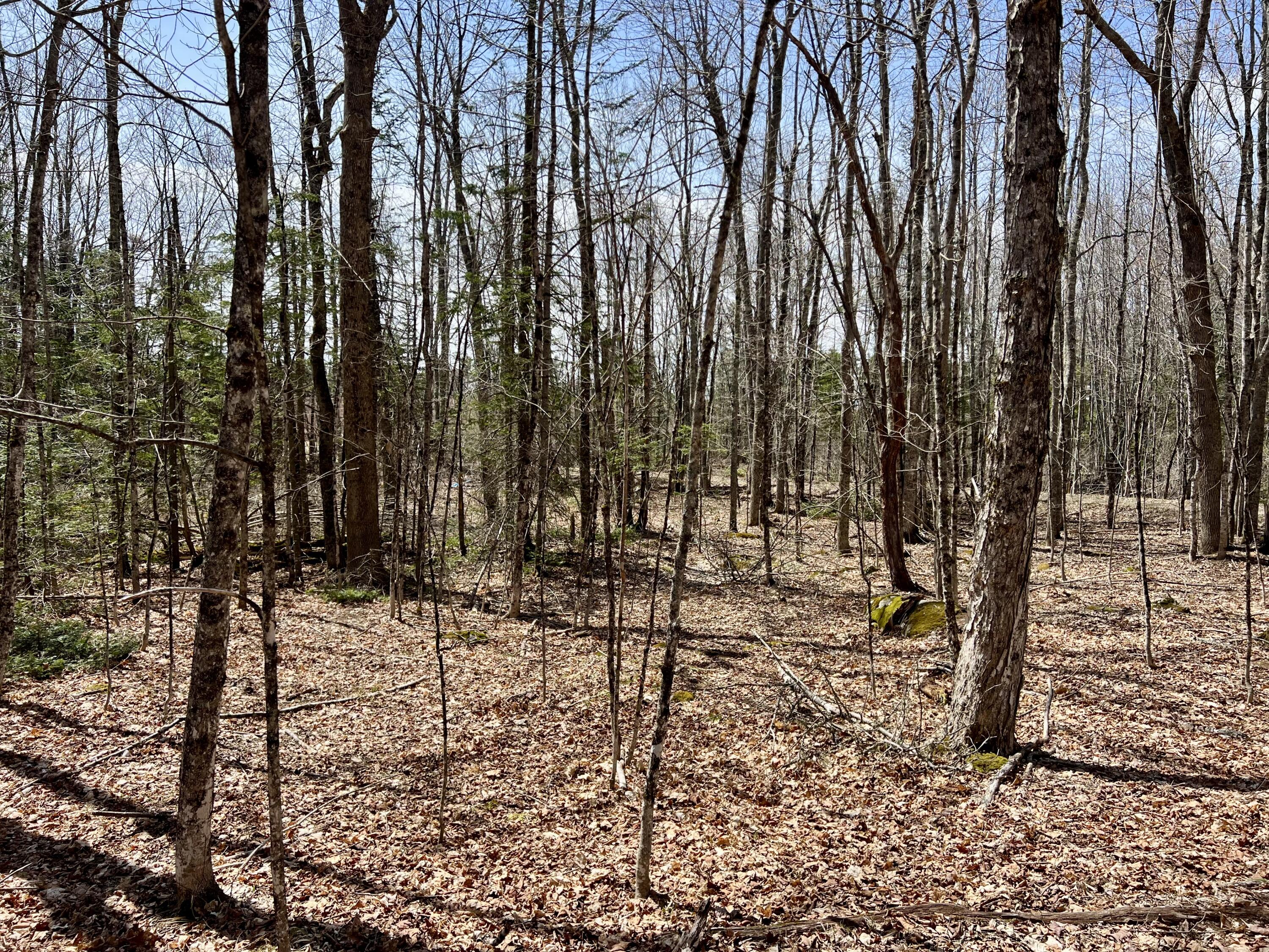 Lot 69 Campground Road Searsport, ME 04974 - Photo 20 of 46 IMG_4437