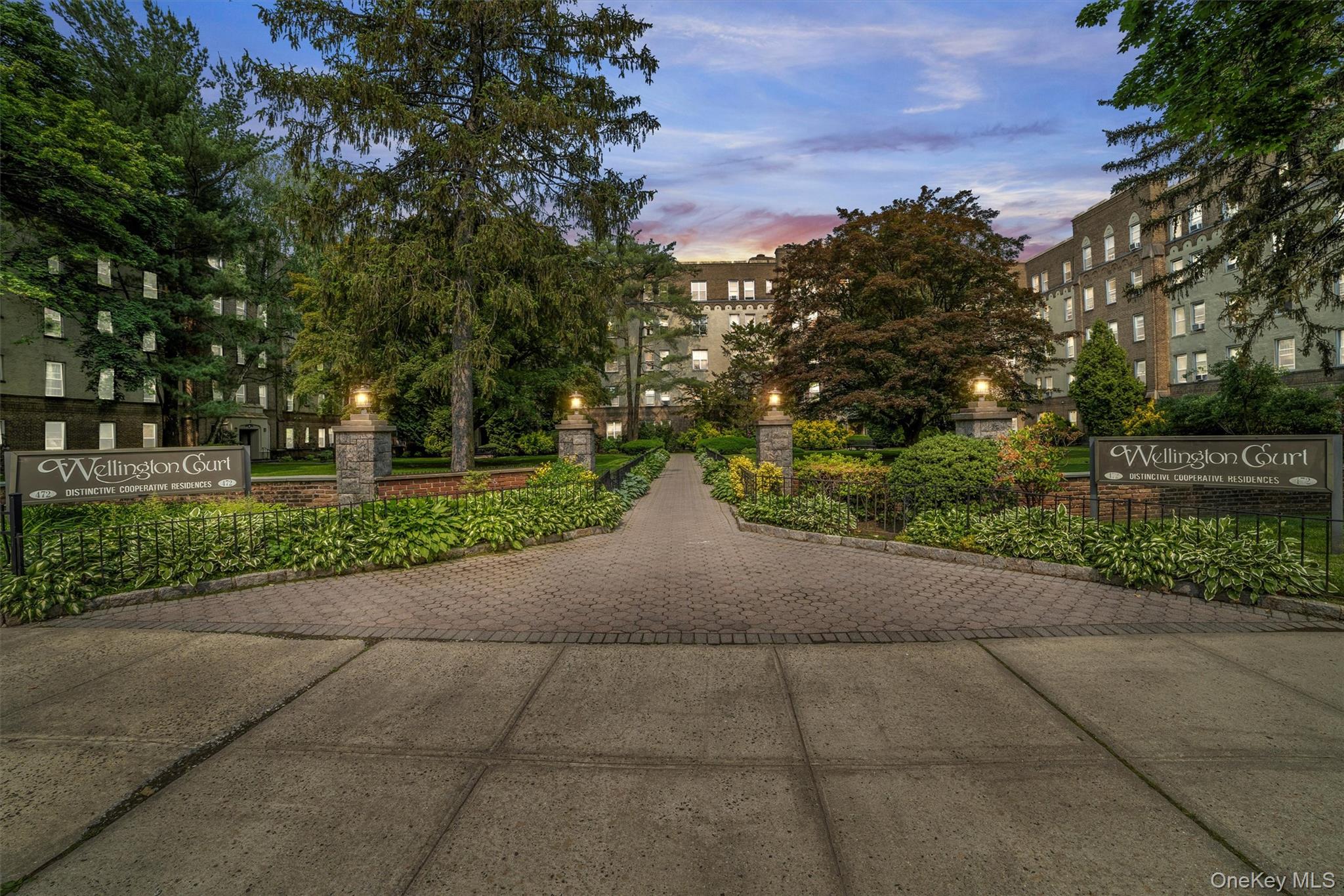 a view of a park with plants and trees